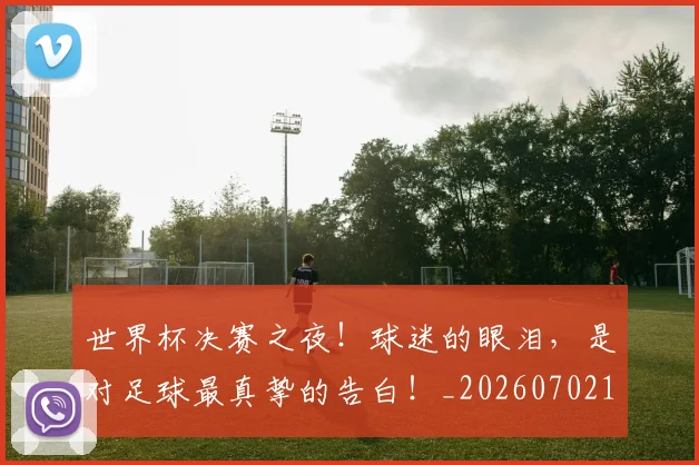 世界杯决赛之夜!球迷的眼泪,是对足球最真挚的告白!_20260702175556