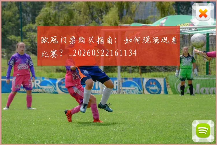 欧冠门票购买指南:如何现场观看比赛?_20260522161134