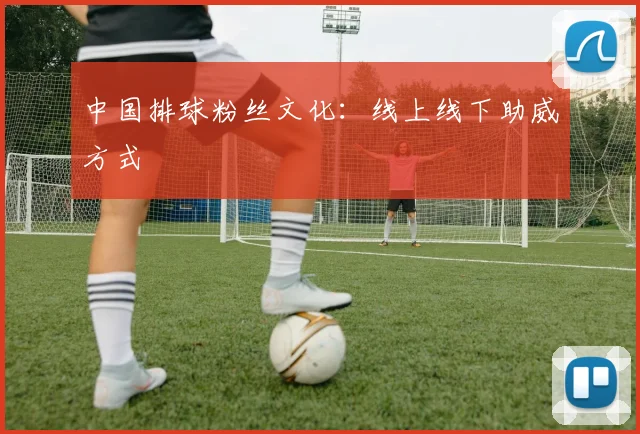 中国排球粉丝文化:线上线下助威方式