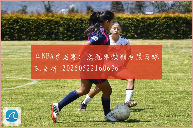 年NBA季后赛：总冠军预测与黑马球队分析_20260522160636