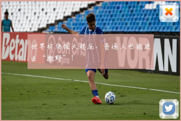 世界杯场馆大起底,普通人也能进去“撒野”!